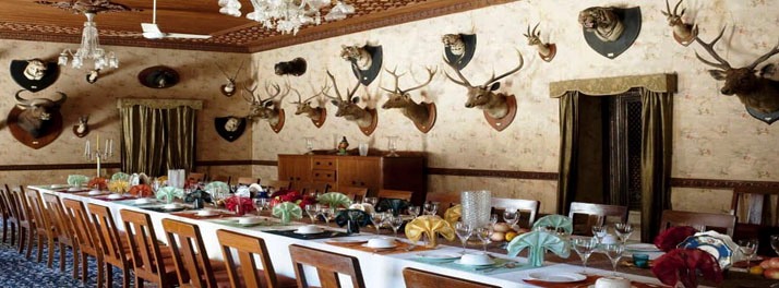 2224/Hotel Udai Bilas Palace - Dungarpur 05.jpg